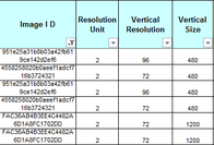 Image Document Properties - Part 2